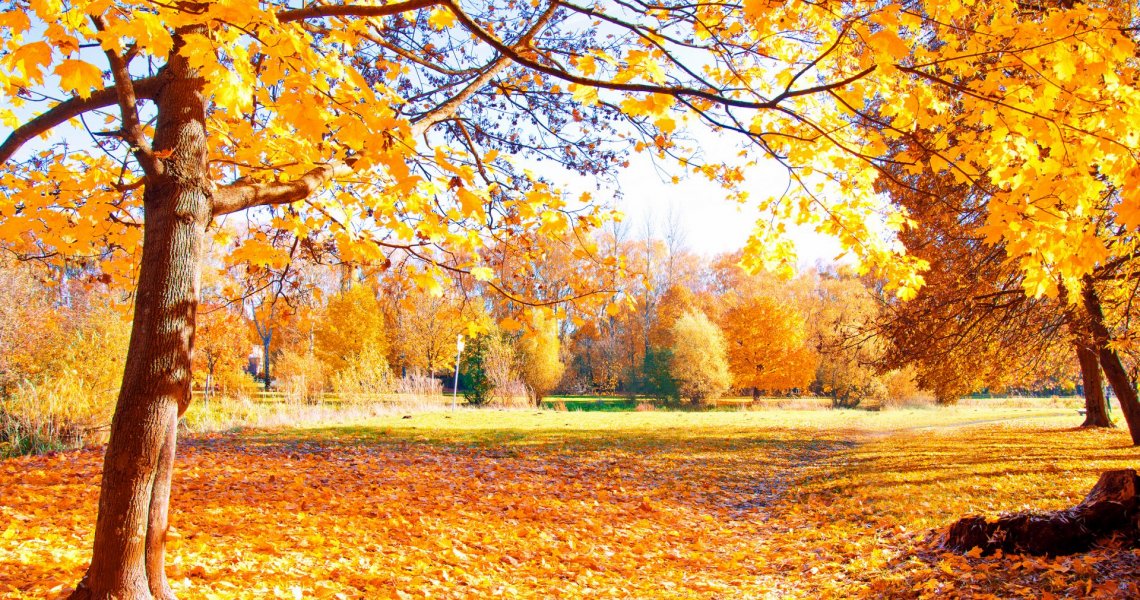 6 Ideen für Herbsttage am Gardasee